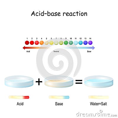Acidâ€“base reaction. pH scale. Litmus paper test results Vector Illustration